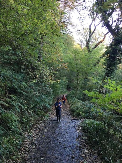 Tamar Valley, Cornwall Callington Екстериор снимка